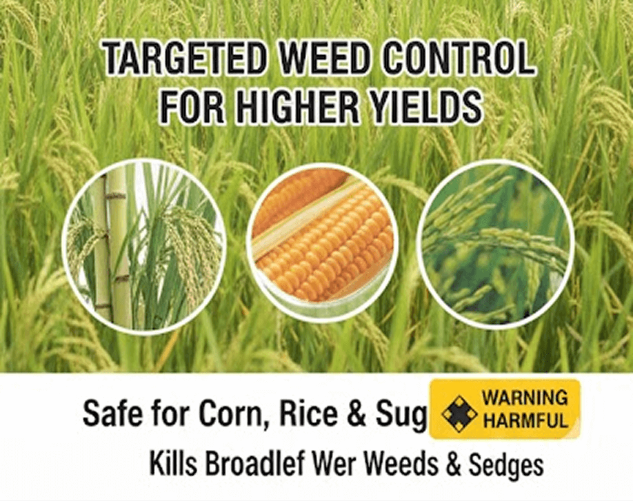 Banguard 420SC 1 Liter thumbnail