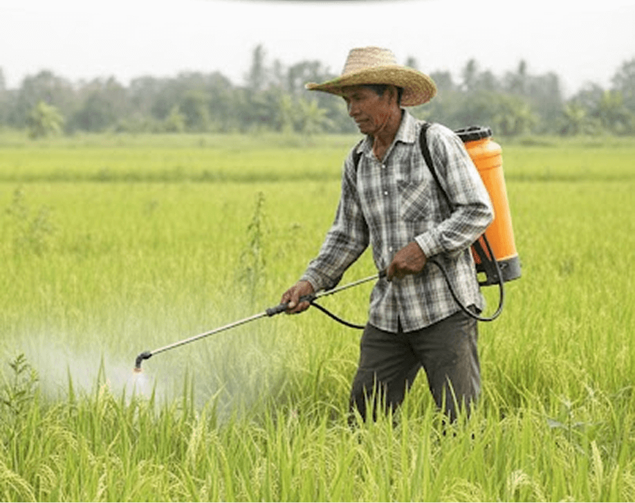 Prev-AM Gold 250ml thumbnail