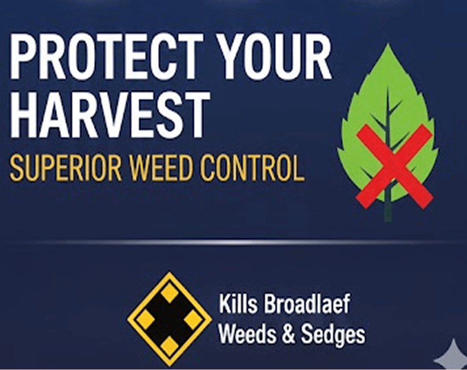 Banguard 80 WG 500 grams thumbnail